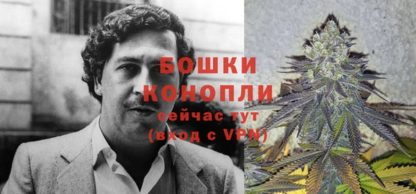 кокс Белокуриха
