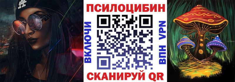 Псилоцибиновые грибы Psilocybe  Купить  Трубчевск 